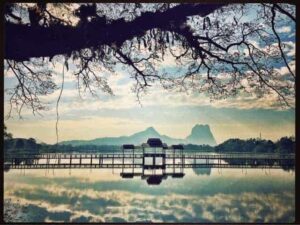 blogger-image-81555509-1