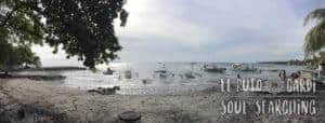 Apo Island Day Trip - Snorkeling with sea turtles
