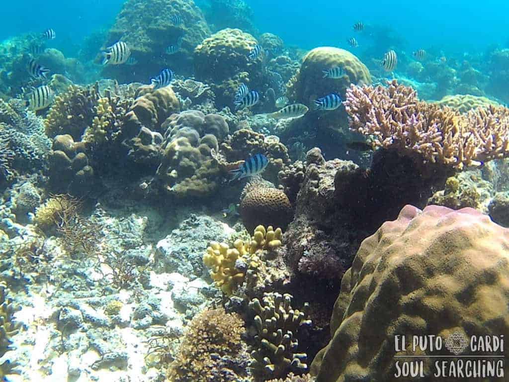 El Nido: Best snorkeling in Philippines