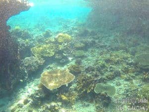 El Nido Island-Hopping: Best snorkeling in Philippines