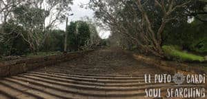 Anuradhapura Sri Lanka
