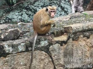 Anuradhapura Sri Lanka