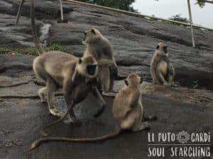 Anuradhapura Sri Lanka