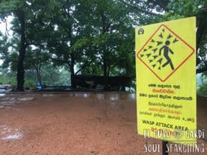 What to do in Sigiriya