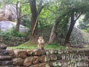 What to do in Sigiriya