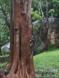 What to do in Sigiriya