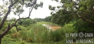 What to do in Sigiriya