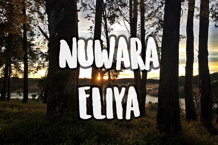 Nuwara Eliya and the World's End
