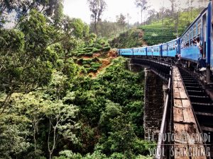 Best train ride ever