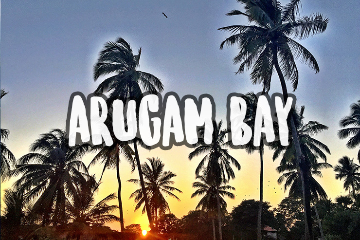 Things To Do in Arugam Bay