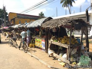 Tangalle Market Sri Lanka