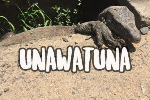 Unawatuna post title with a big lizard